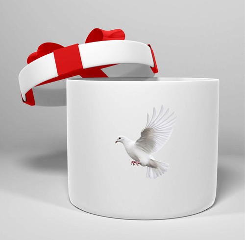12x white pigeons - 12x, tumbler