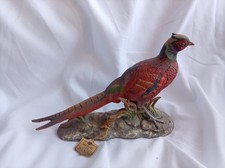 Maruri For Bag Pheasant