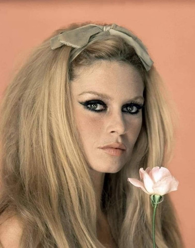 Brigitte bardot 8x10 photo - brigitte,