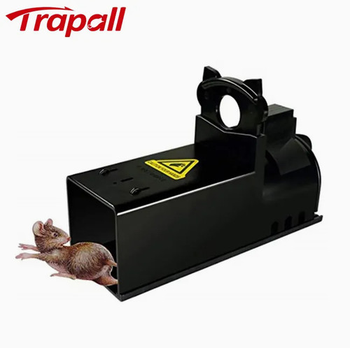 Reusable rat bait - rat,