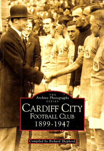 Cardiff city football club - cardiff,