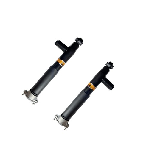 Pair rear shock absorbers - rear,