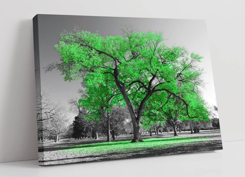 Bright green tree - bright, black