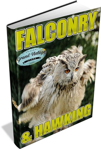Falconry hawking collection - hawking,