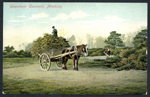 Greenham common newbury - greenham,
