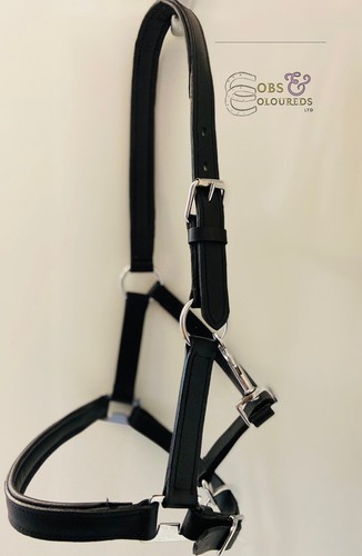 Padded leather adjustable - padded,