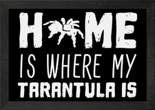 Tarantula home saying framed - tarantula,