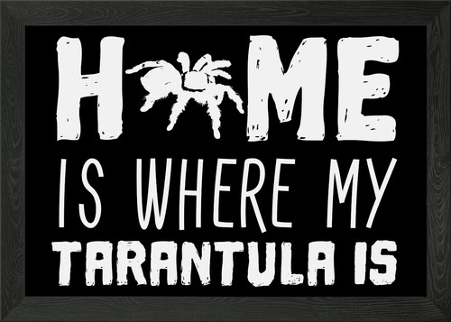 Tarantula home saying framed - tarantula,