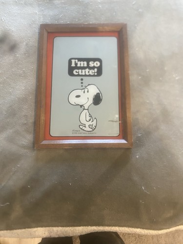 Vintage 1970 snoopy - snoopy, i’m
