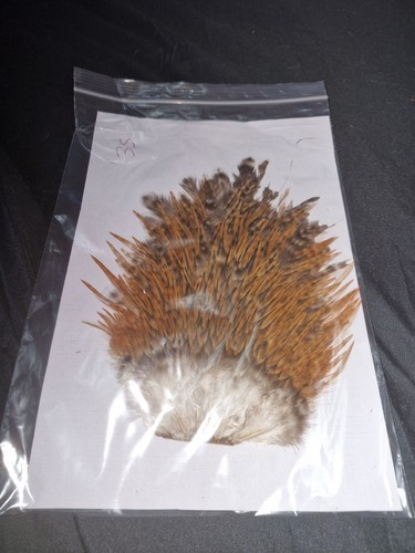 Large saddle cock hackles fly - saddle,