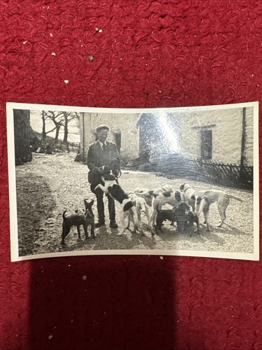 Fox hunting photo 1940s - photo, 1950s