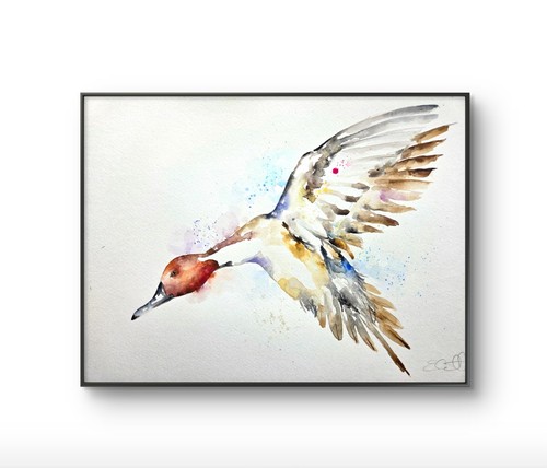 Original pintail duck - original,