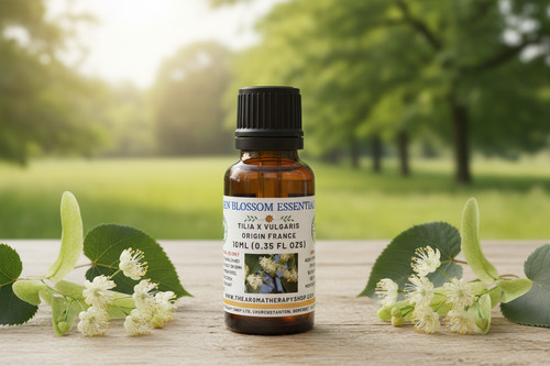 Linden blossom essential oil - linden,