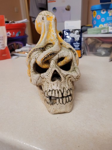 Skull with squid - skull, tank