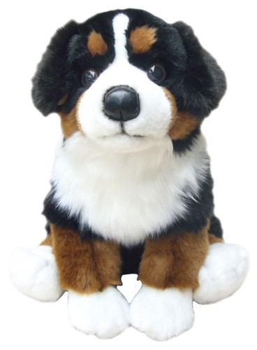 Bernese mountain dog plush - ,