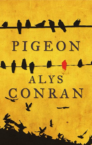 Pigeon alys conran - pigeon-alys,