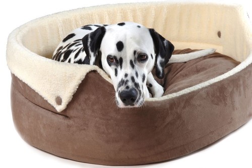 Chelsea button down dog bed - button-down,