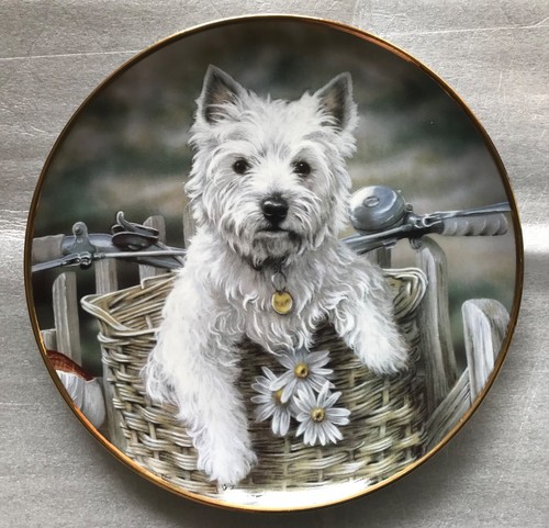 Westie dog decorative - westie,