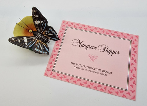 Mangrove skipper butterflies - skipper,