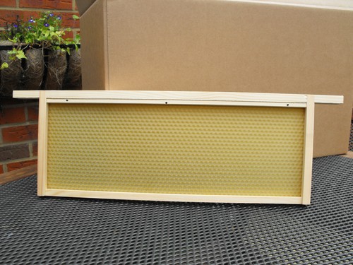 Sn1 national wbc frames - sn1,