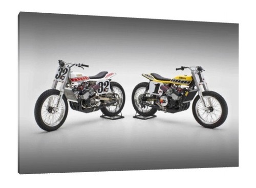 Yamaha tz750 flat trackers - tz750,