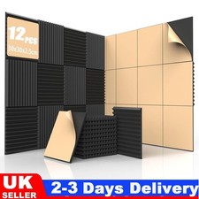 12x wedge acoustic - 12x,