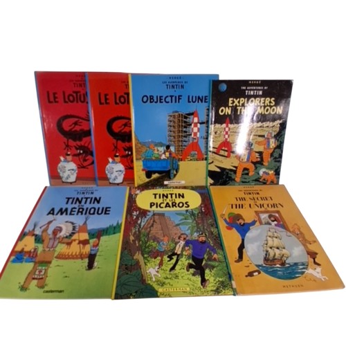 Tintin book collection - tintin,