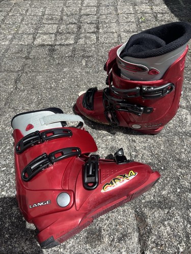 Lange men alpine ski - alpine,