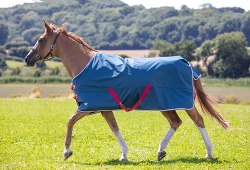 Shires tempest original lite - tempest,