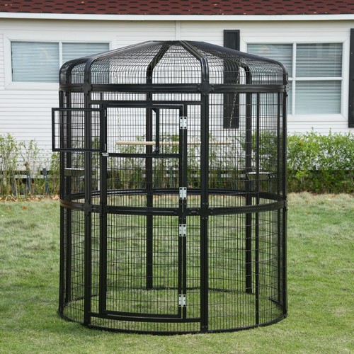 Large walk flight bird - large,