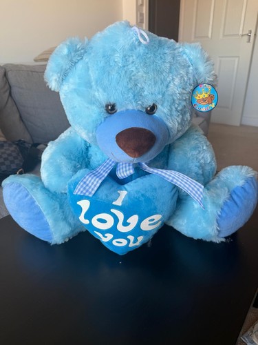 Teddy bear blue colour - colour, soft