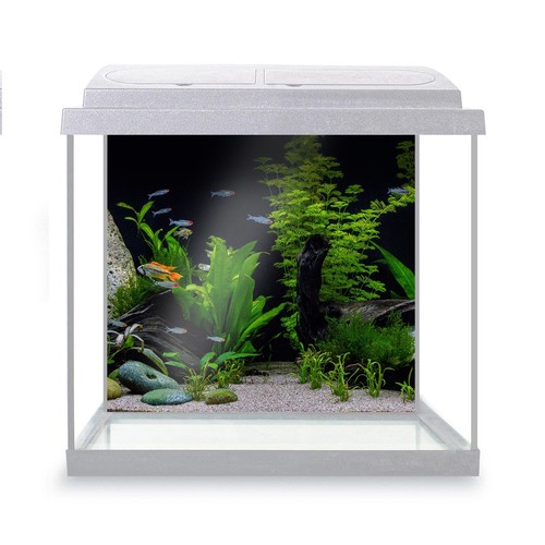 Fish tank background beautiful - tank,