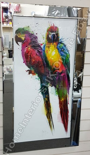 Two multicolour parrots with