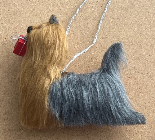 Yorkshire terrier with - yorkshire,
