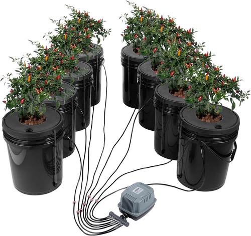 Hydroponic growing system with - hydroponic,