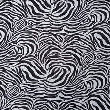 Zebra Skin Print Rose & Hubble