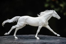 Thoroughbred racehorse model