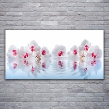 Print on Glass Wall art 120x60