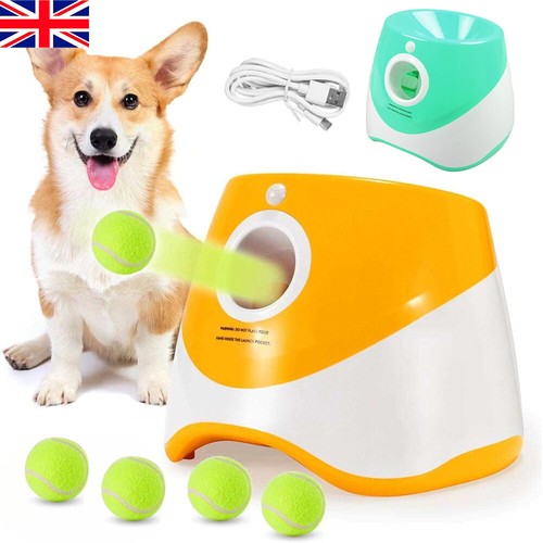 Dog automatic ball - dog,