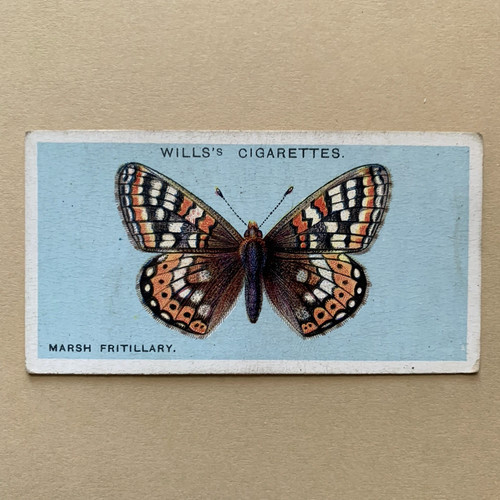 British butterflies marsh - british,