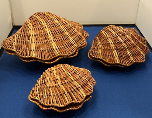 Set vintage clam shell - vintage,