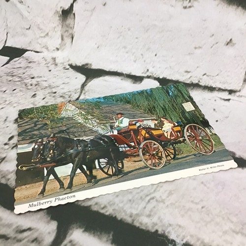 Vintage postcard mulberry - vintage,