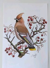 Charles tunnicliffe bohemian - charles,