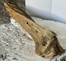 150-Year-Old Cypress Driftwood