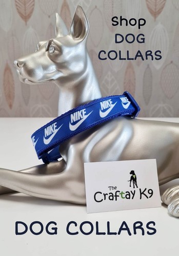 Handmade sport dog - , collar