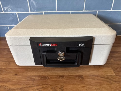 Sentry safe 1100 - 1100, portable
