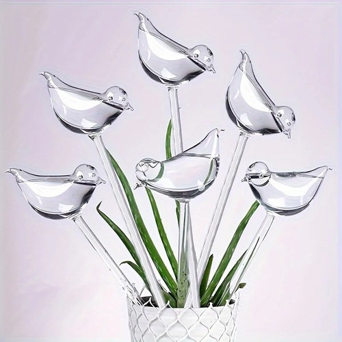 Pack bird self watering - pack,