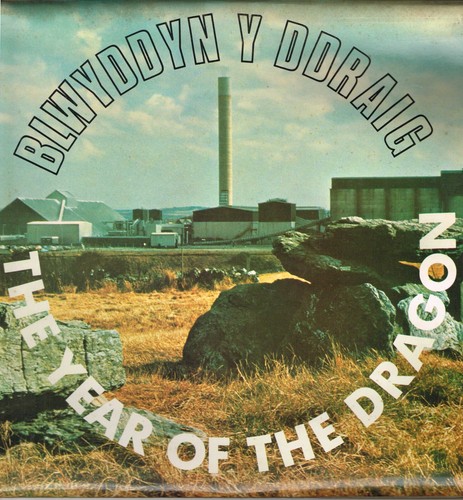 Blwyddyn ddraig various - blwyddyn, ddraig-various