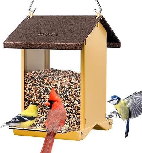 Iborn bird feeder outdoors - bird,