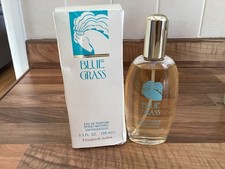 Vintage Elizabeth Arden Blue